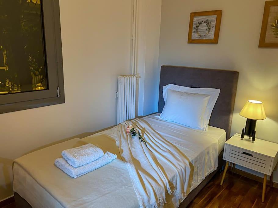 Cozy And Comfortable Apartment In Athens Center Dış mekan fotoğraf