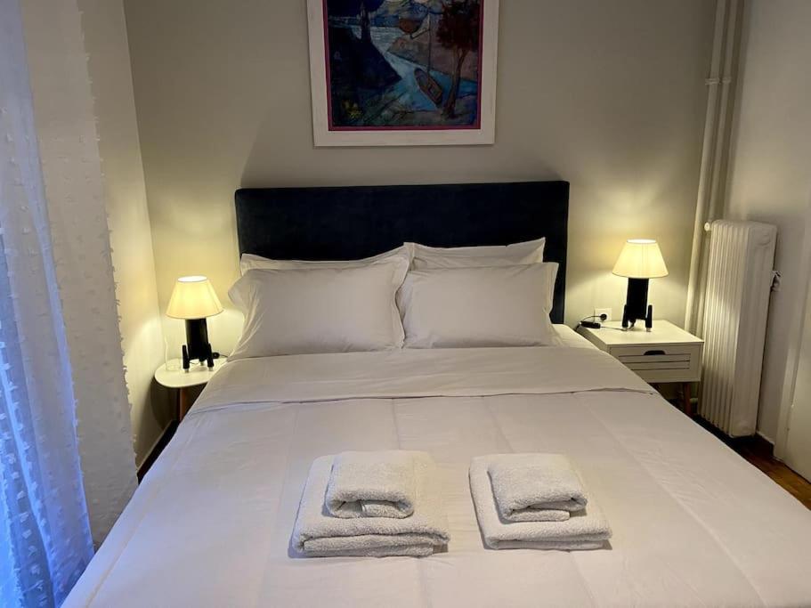 Cozy And Comfortable Apartment In Athens Center Dış mekan fotoğraf